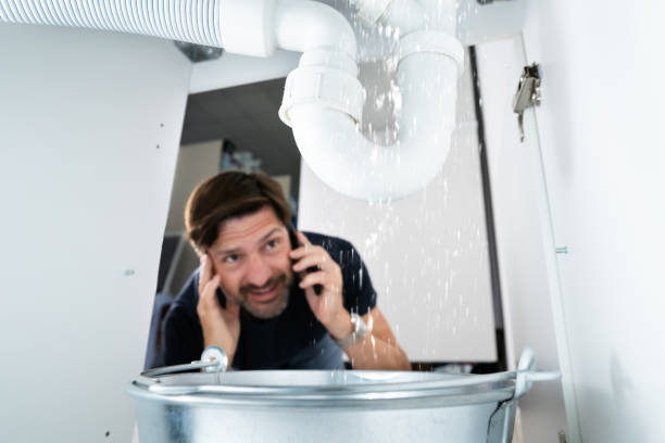 Best Residential Plumbing Services  in Asbury, IA