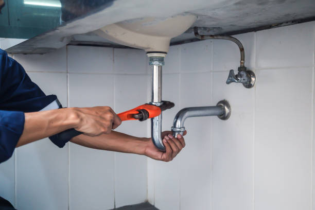 Best Plumbing Services Near Me  in Asbury, IA